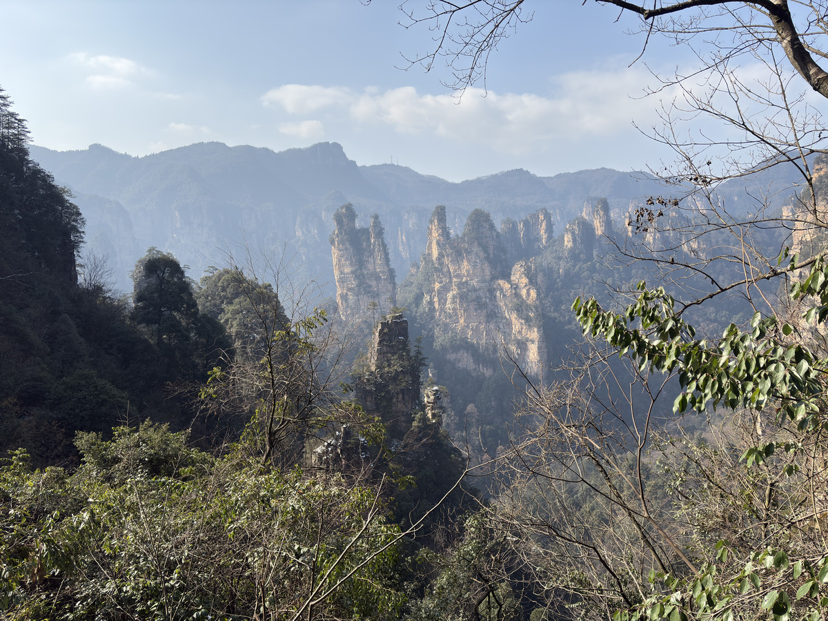 Picture China Zhangjiajie Tianzi Mountrain 2026-01 265 - Winter Tianzi Mountrain