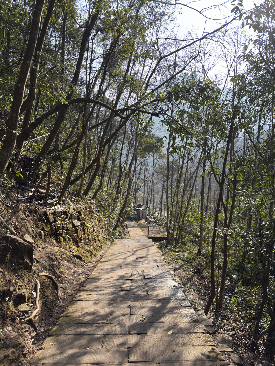 Picture China Zhangjiajie Tianzi Mountrain 2026-01 4 - Rain Season Tianzi Mountrain