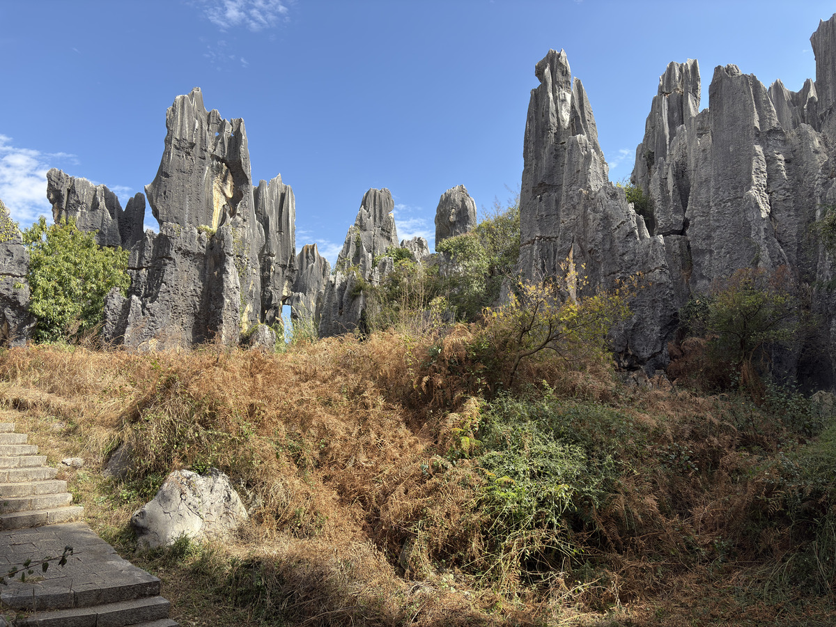 Picture China Shilin Stone Forest 2026-01 253 - French Restaurant Shilin Stone Forest