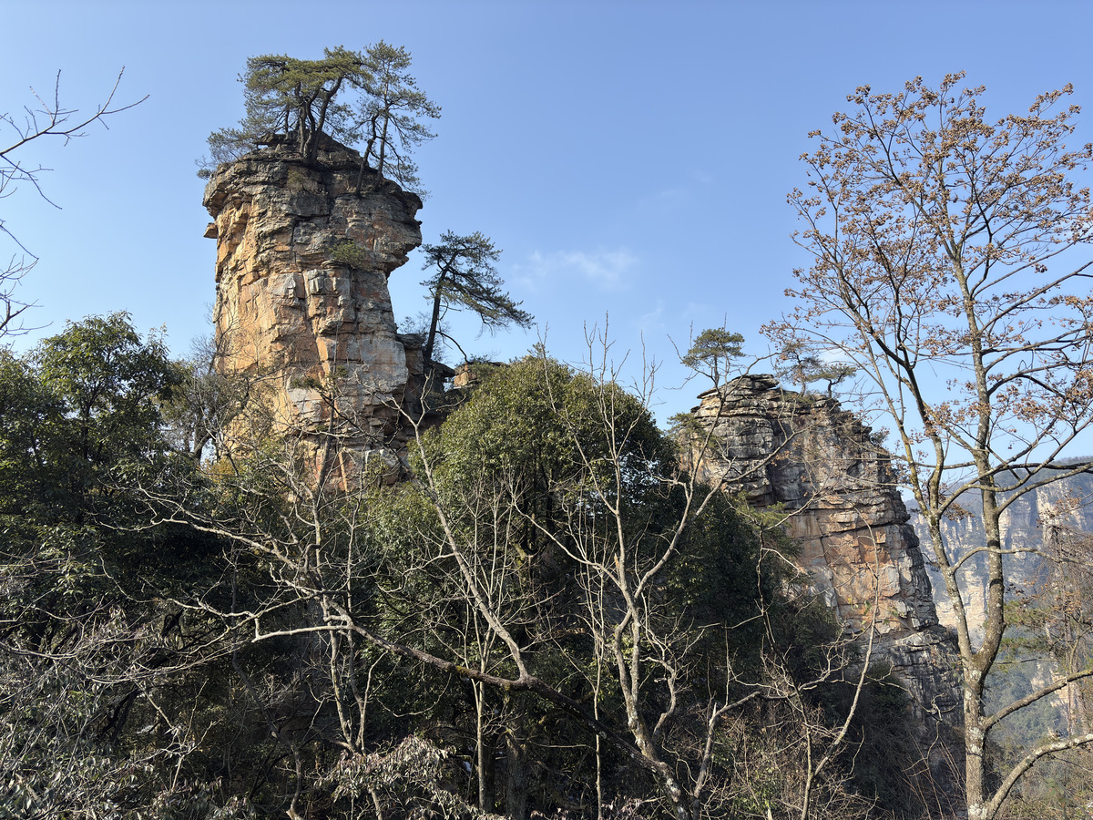 Picture China Zhangjiajie Tianzi Mountrain 2026-01 309 - Land Tianzi Mountrain
