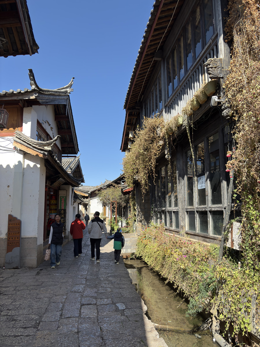 Picture China Lijiang 2026-01 575 - Hot Season Lijiang