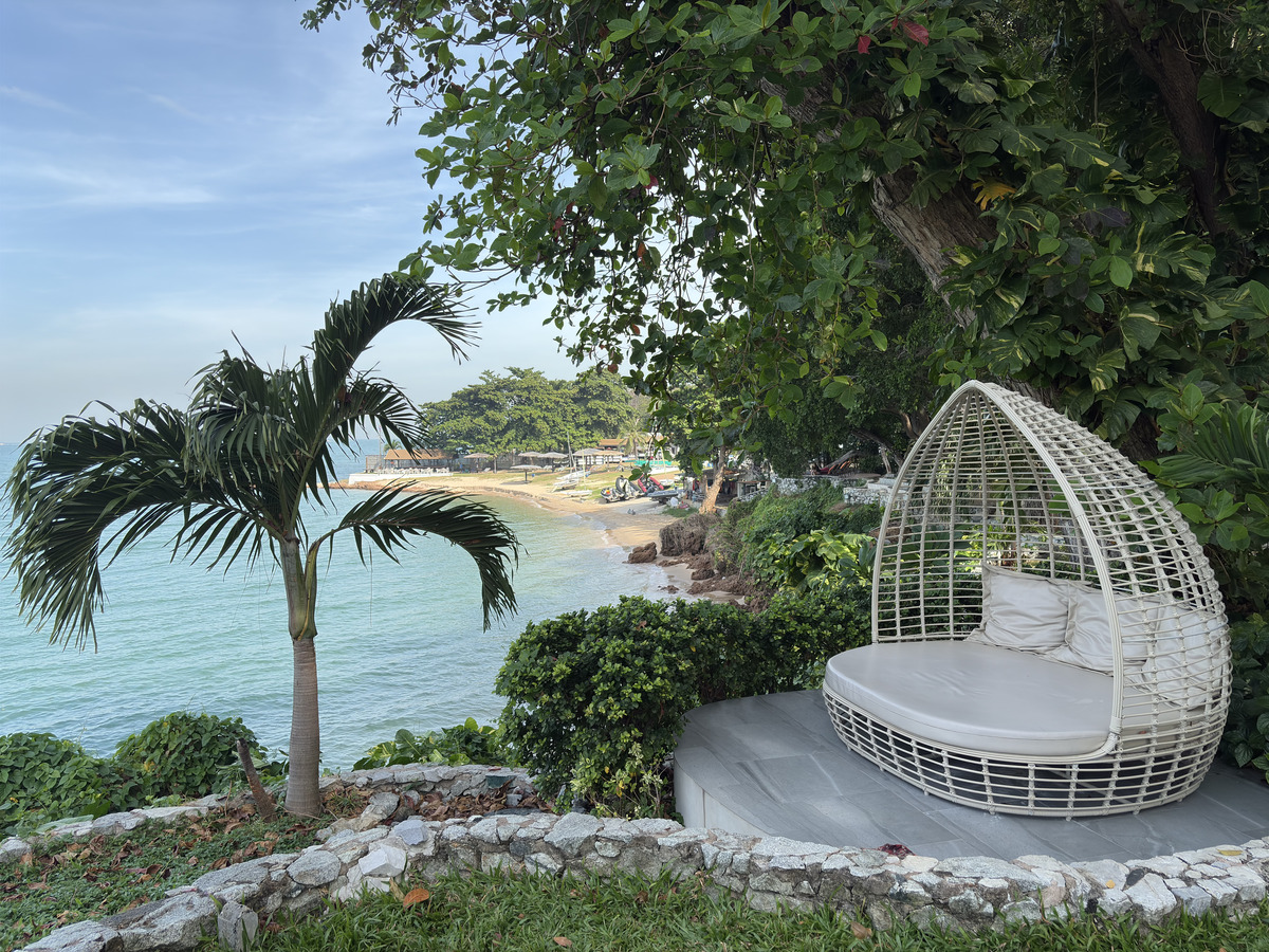 Picture Thailand Pattaya 2024-12 30 - Saving Pattaya