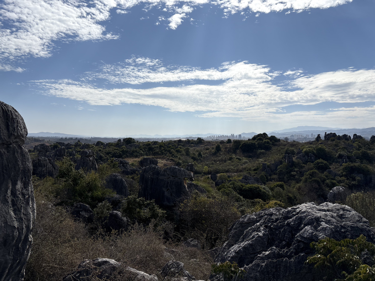Picture China Shilin Stone Forest 2026-01 241 - Hot Season Shilin Stone Forest