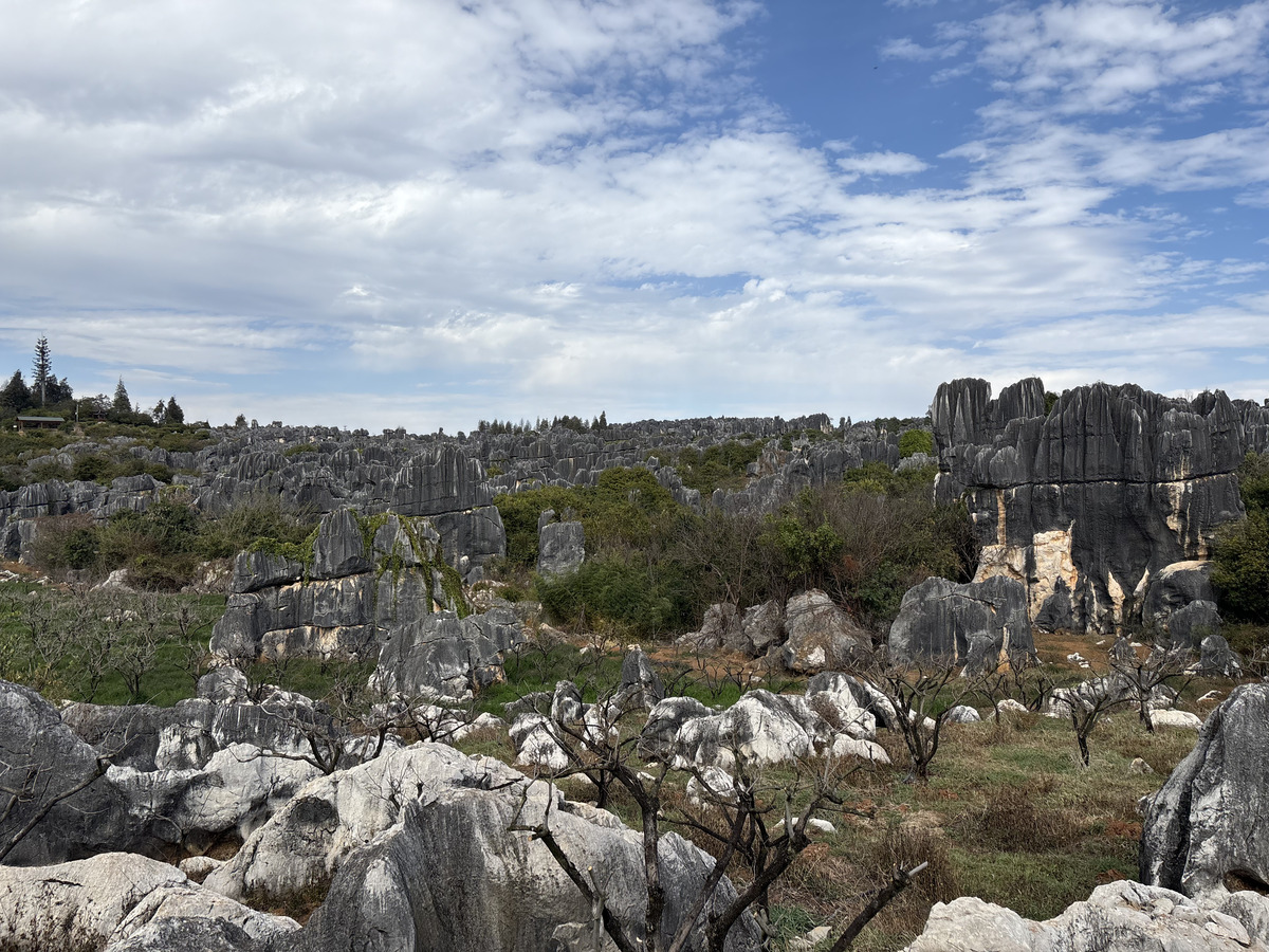 Picture China Shilin Stone Forest 2026-01 47 - Lands Shilin Stone Forest