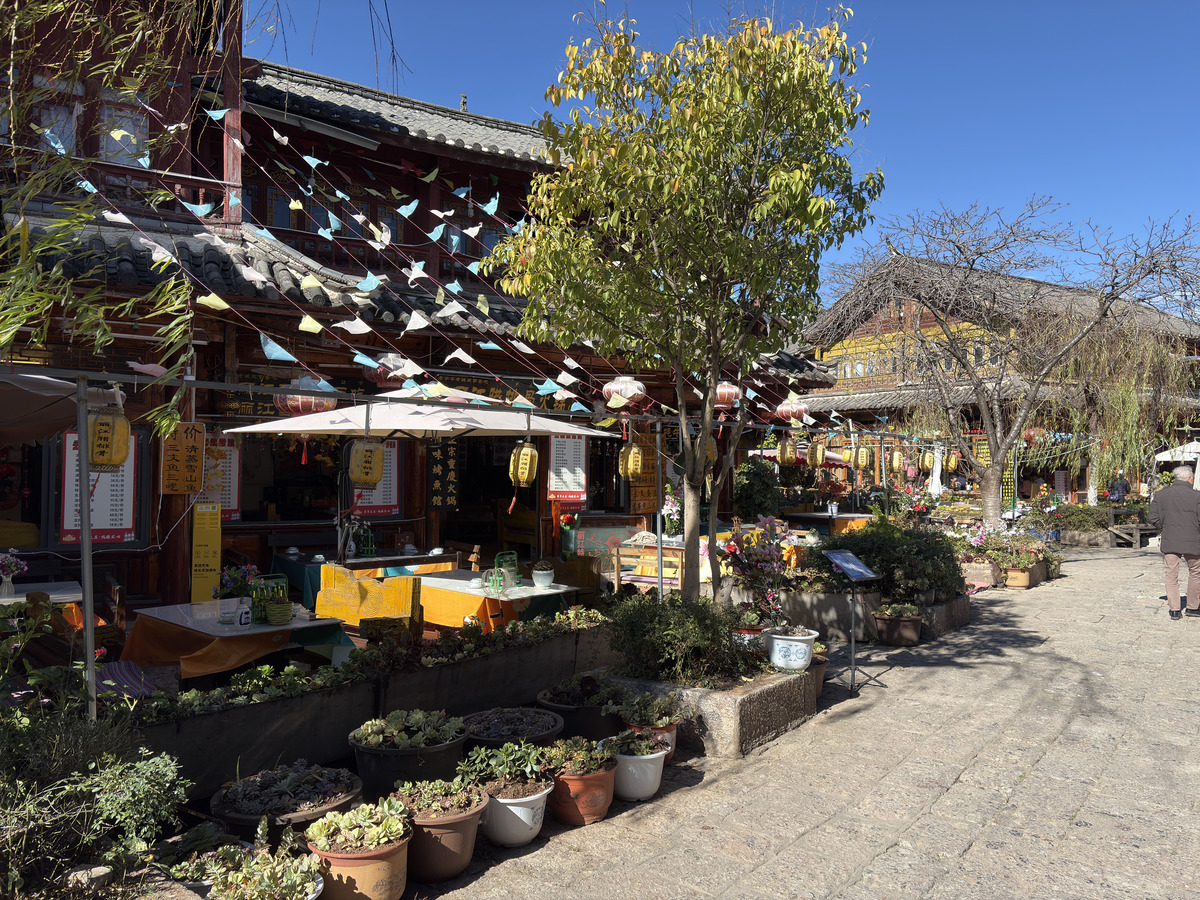 Picture China Lijiang 2026-01 506 - Hot Season Lijiang