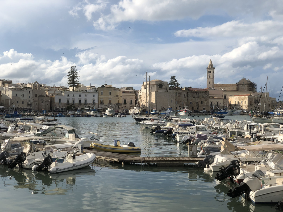Picture Italy Trani 2024-09 38 - Rental Trani