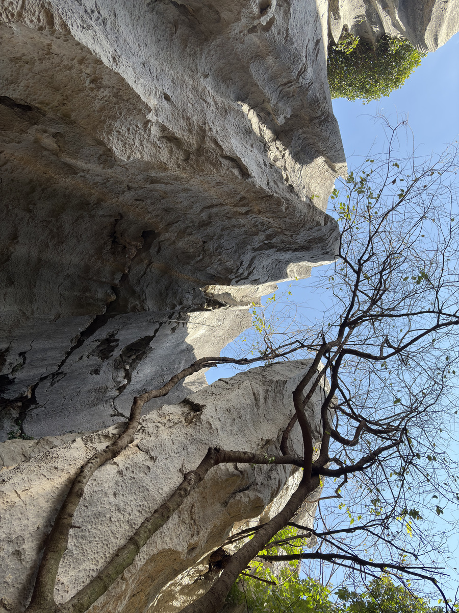 Picture China Shilin Stone Forest 2026-01 306 - Lands Shilin Stone Forest