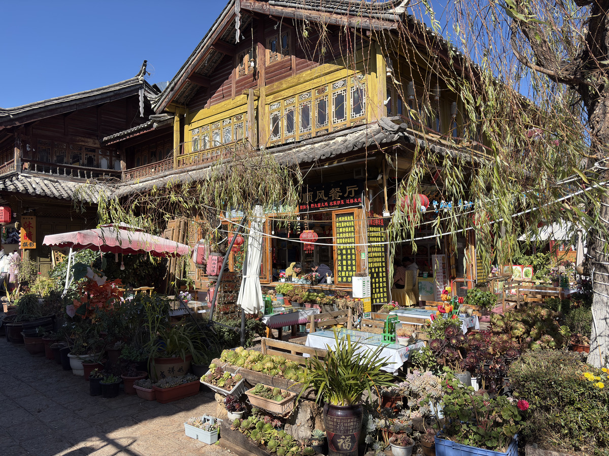 Picture China Lijiang 2026-01 589 - Saving Lijiang
