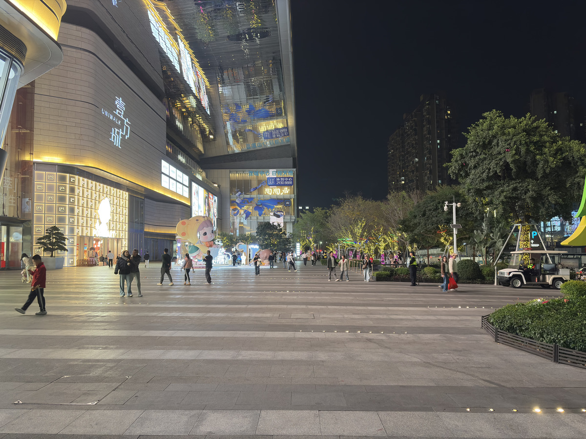 Picture China Shenzhen 2026-01 96 - Winter Shenzhen