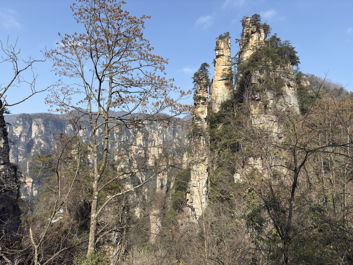 Picture China Zhangjiajie Tianzi Mountrain 2026-01 242 - Savings Tianzi Mountrain