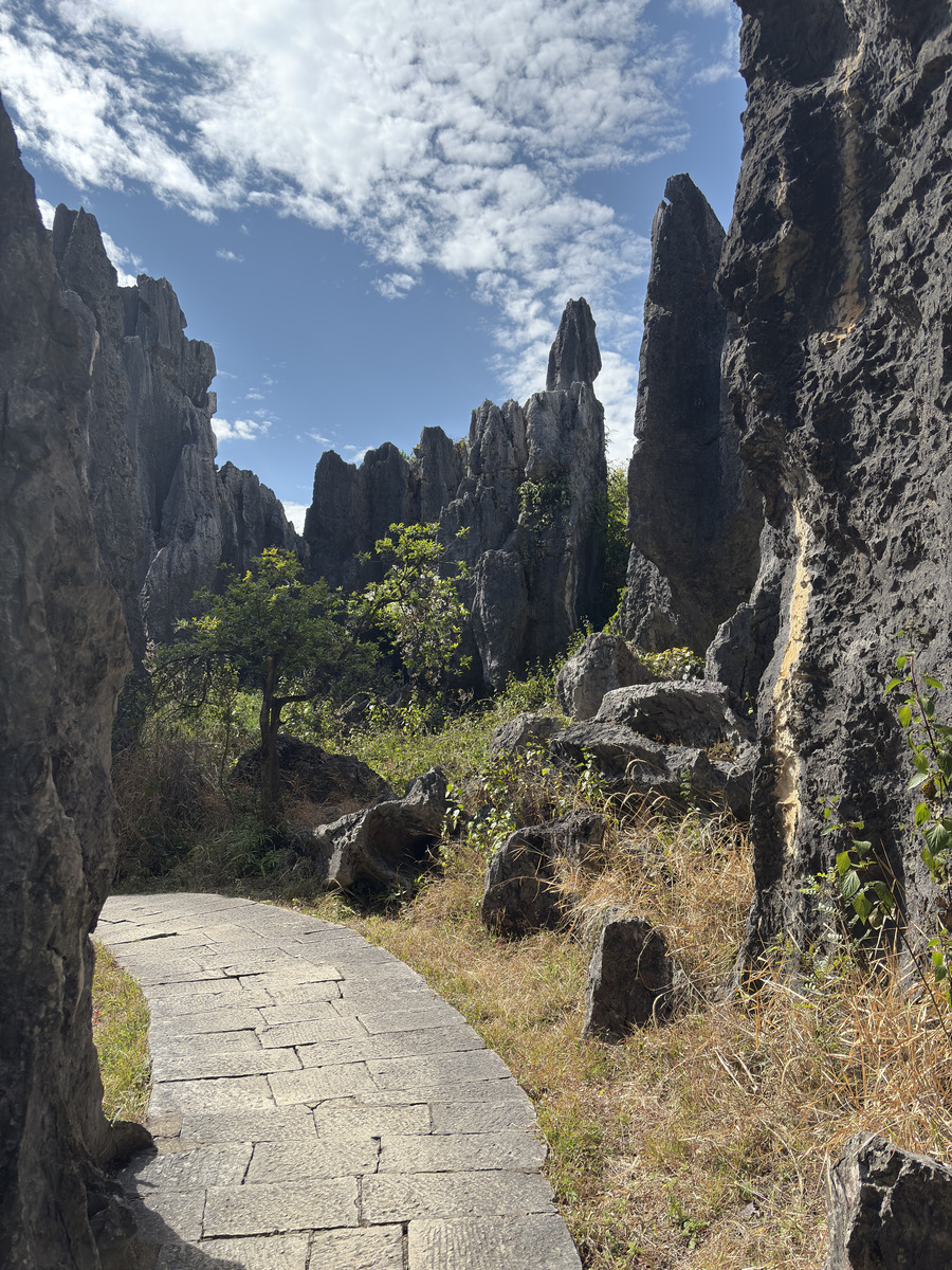 Picture China Shilin Stone Forest 2026-01 322 - Resorts Shilin Stone Forest