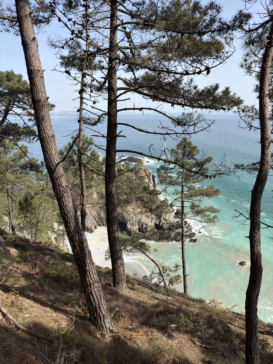 Picture France Crozon Ile Vierge Beach 2026-04 41 - City Sight Ile Vierge Beach