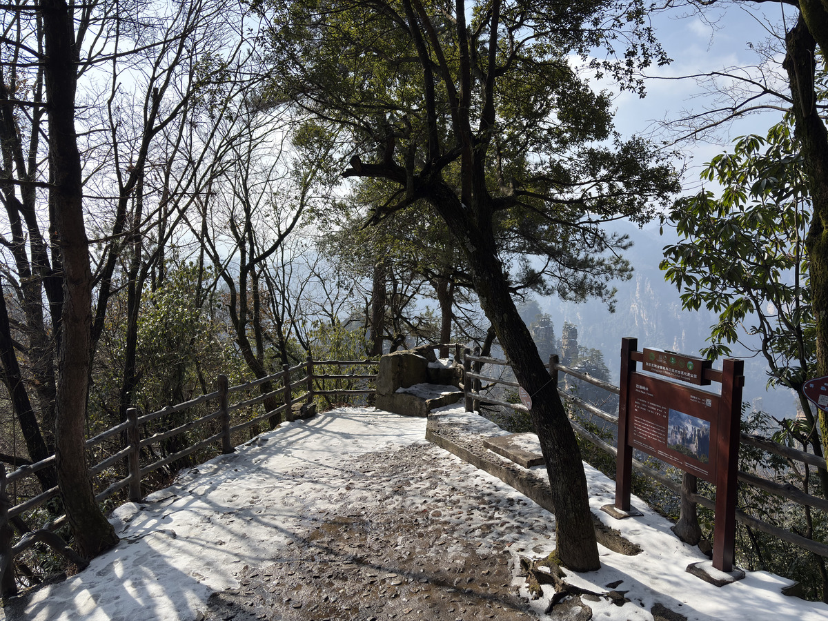 Picture China Zhangjiajie Tianzi Mountrain 2026-01 415 - Hot Season Tianzi Mountrain