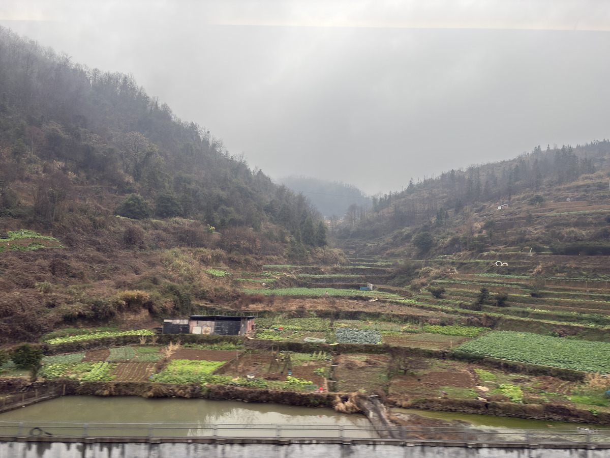 Picture China train 2026-01 13 - Land train