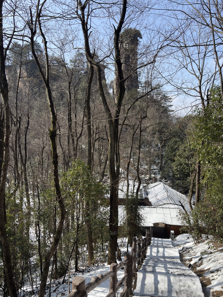 Picture China Zhangjiajie Tianzi Mountrain 2026-01 411 - Rentals Tianzi Mountrain