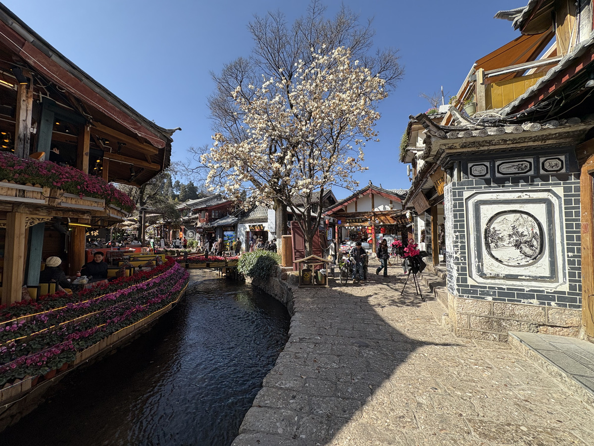 Picture China Lijiang 2026-01 358 - Winter Lijiang