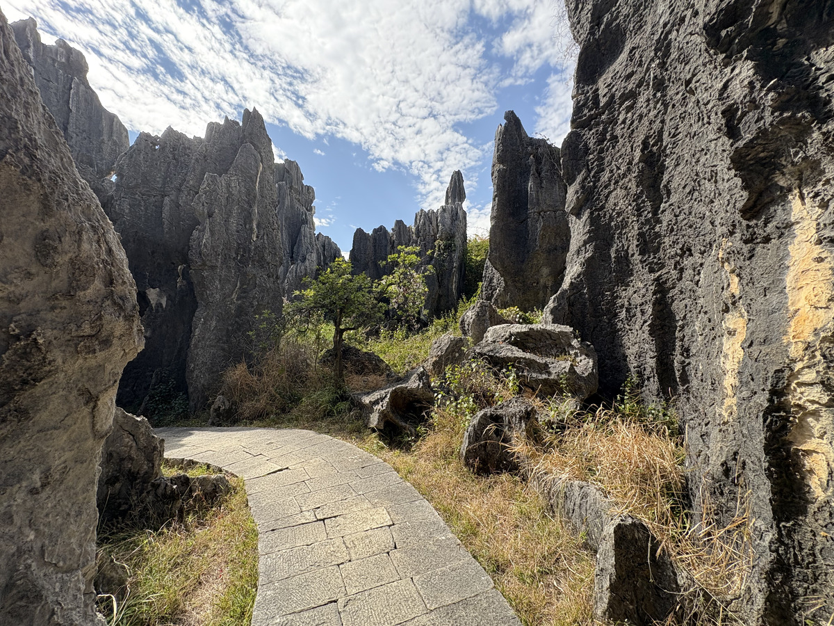 Picture China Shilin Stone Forest 2026-01 64 - Sunrise Shilin Stone Forest