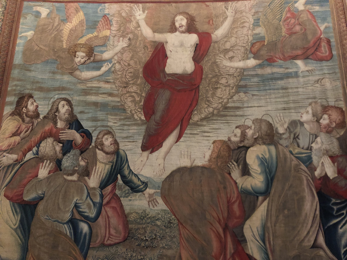 Picture Italy Rome Vatican Museum 2024-09 440 - SPA Vatican Museum