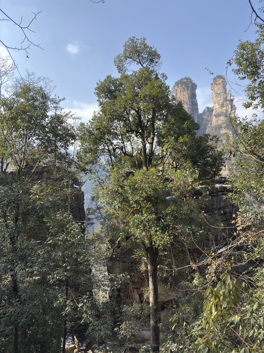 Picture China Zhangjiajie Tianzi Mountrain 2026-01 238 - Hotel Pool Tianzi Mountrain
