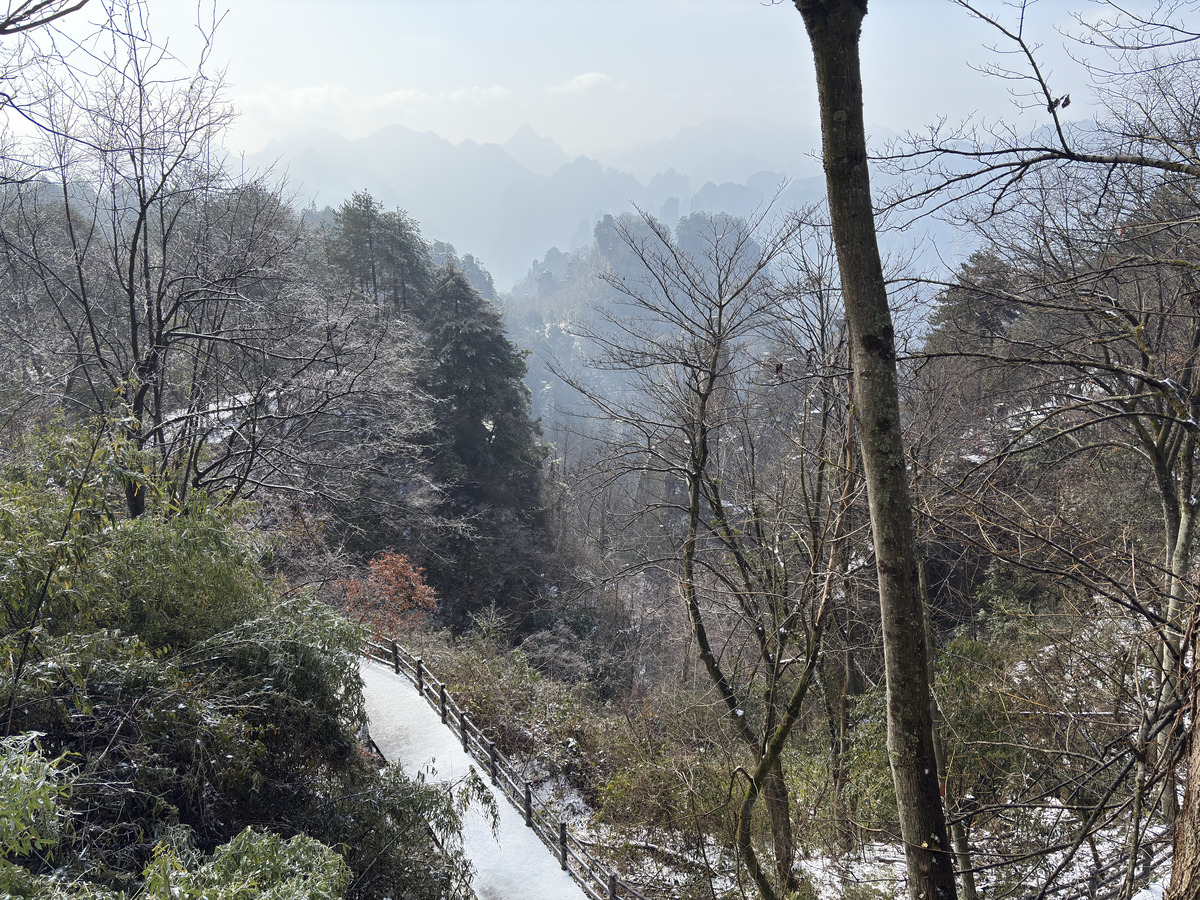 Picture China Zhangjiajie Tianzi Mountrain 2026-01 320 - Streets Tianzi Mountrain