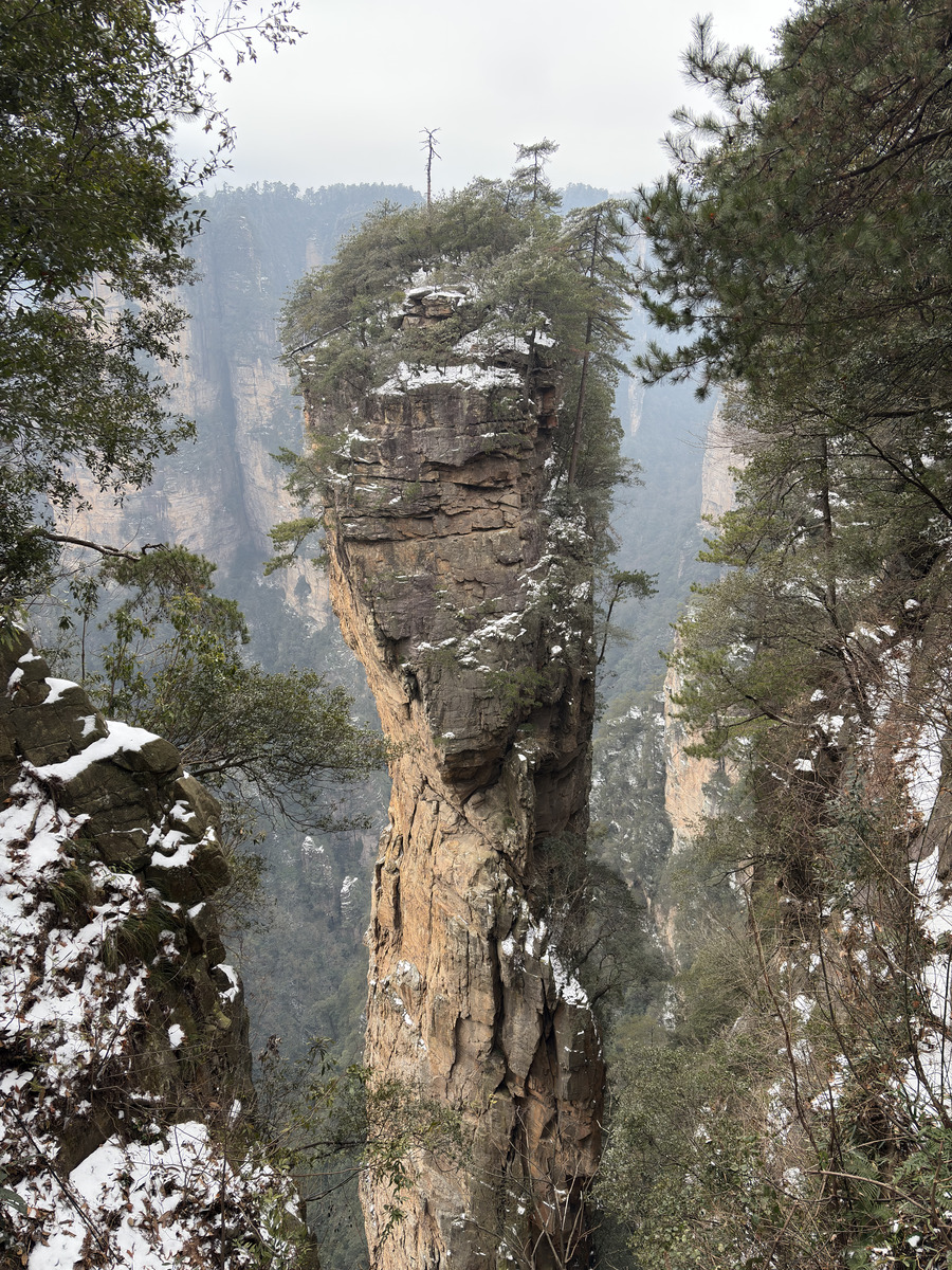 Picture China Zhangjiajie 2026-01 129 - Winter Zhangjiajie