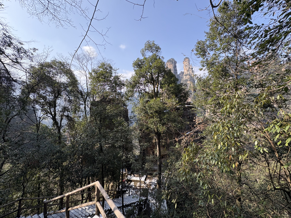Picture China Zhangjiajie Tianzi Mountrain 2026-01 312 - Price Tianzi Mountrain
