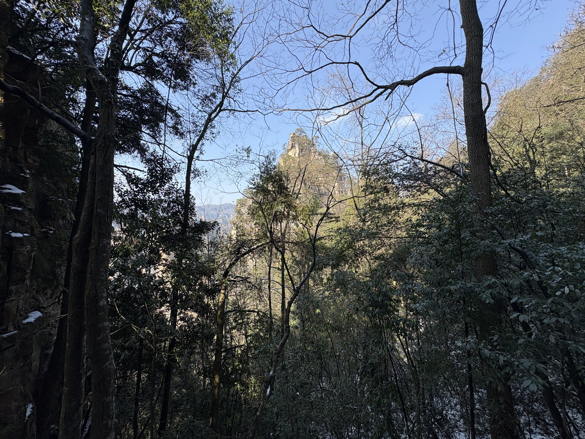 Picture China Zhangjiajie Tianzi Mountrain 2026-01 94 - Winter Tianzi Mountrain