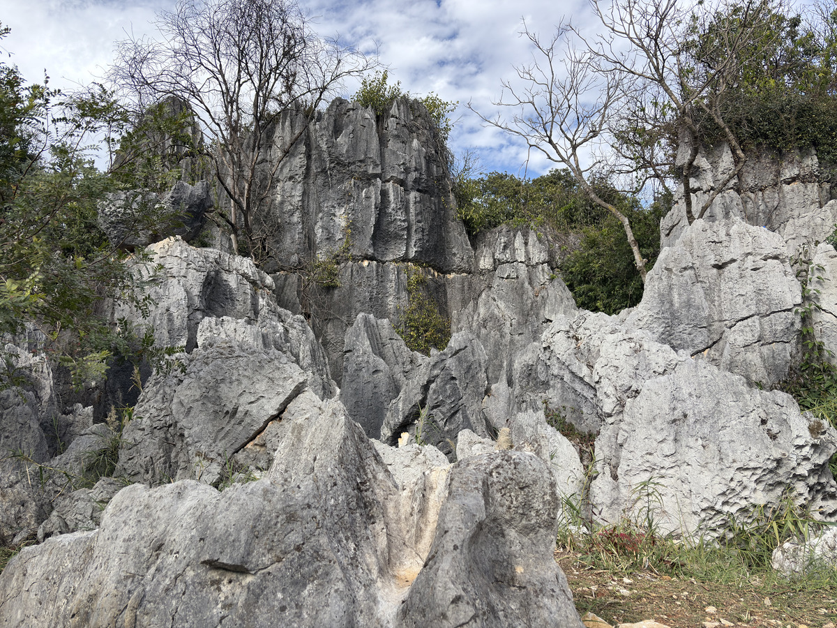 Picture China Shilin Stone Forest 2026-01 111 - Hotel Shilin Stone Forest