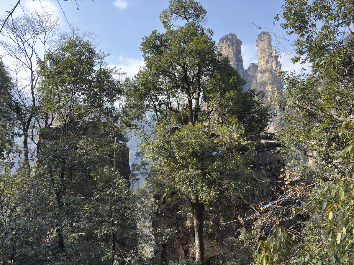 Picture China Zhangjiajie Tianzi Mountrain 2026-01 120 - Sunrise Tianzi Mountrain