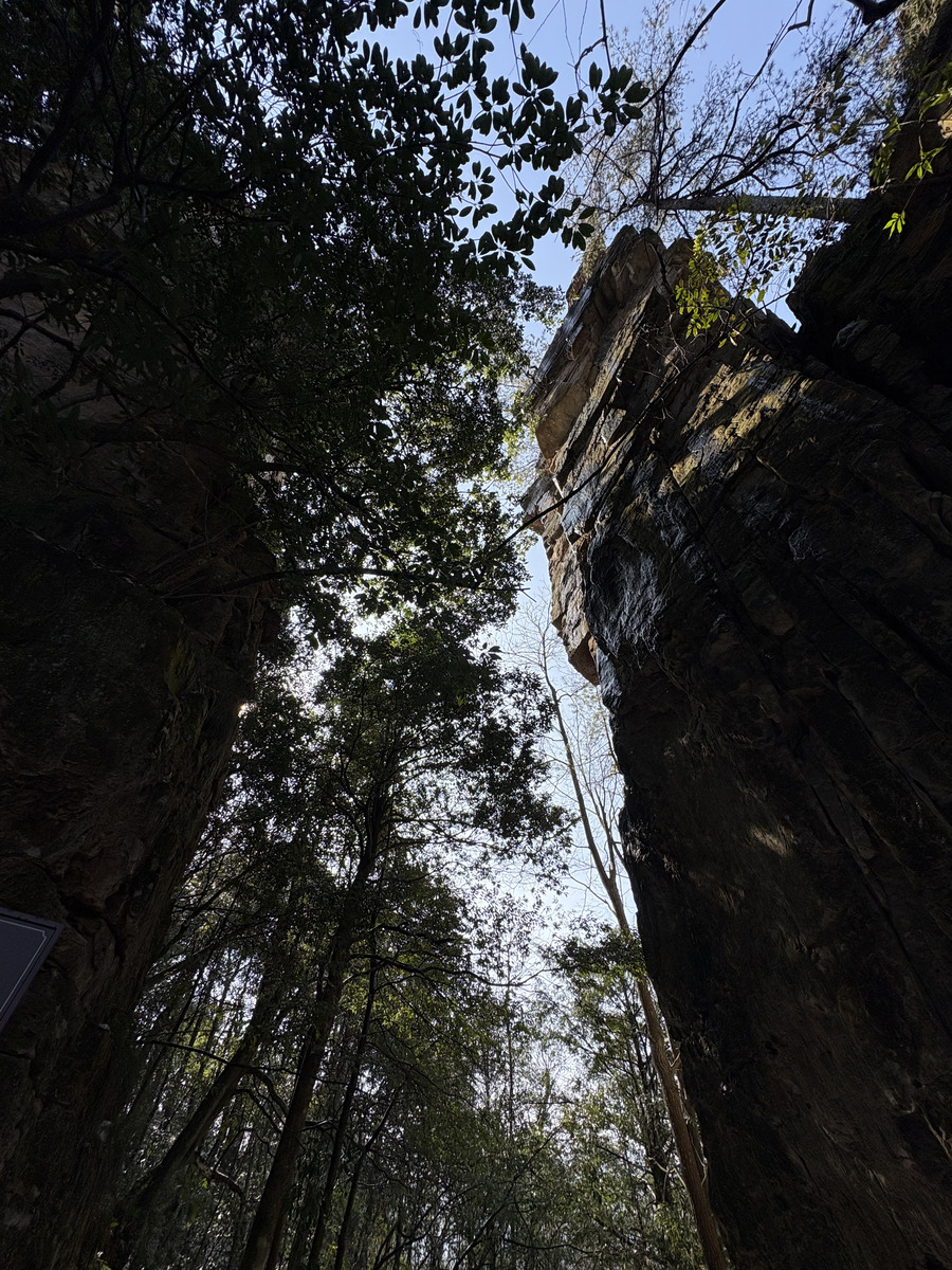 Picture China Zhangjiajie Tianzi Mountrain 2026-01 428 - Accomodation Tianzi Mountrain
