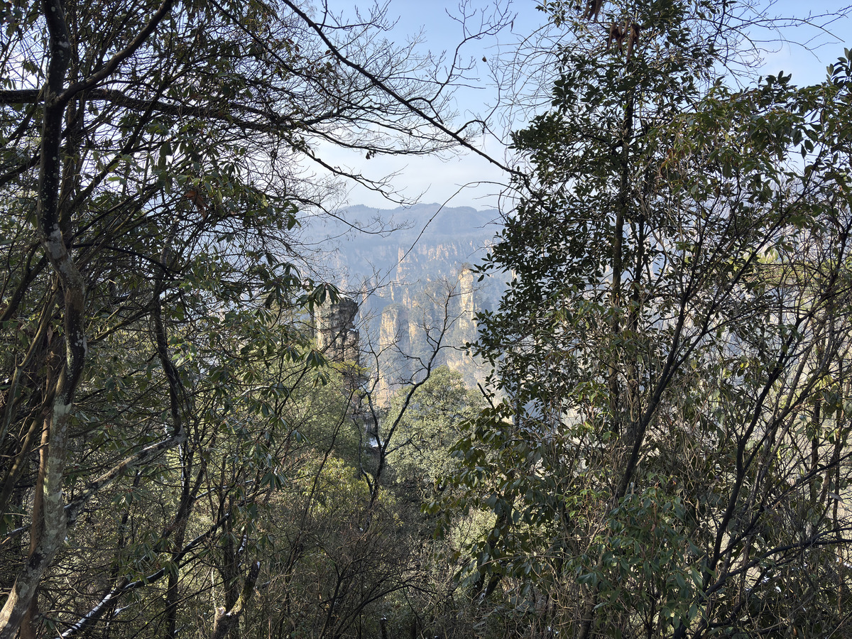 Picture China Zhangjiajie Tianzi Mountrain 2026-01 328 - SPA Tianzi Mountrain