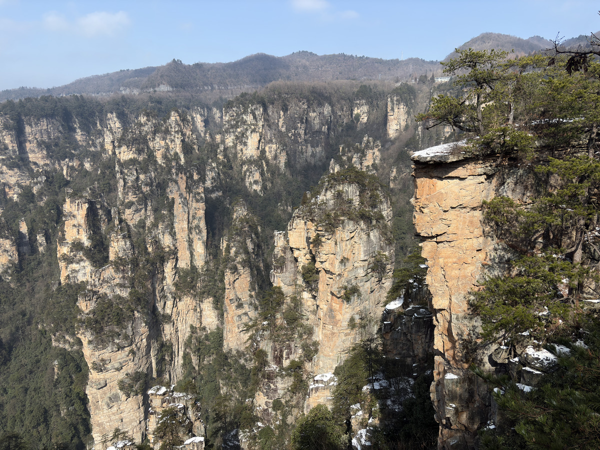 Picture China Zhangjiajie Tianzi Mountrain 2026-01 275 - Hot Season Tianzi Mountrain