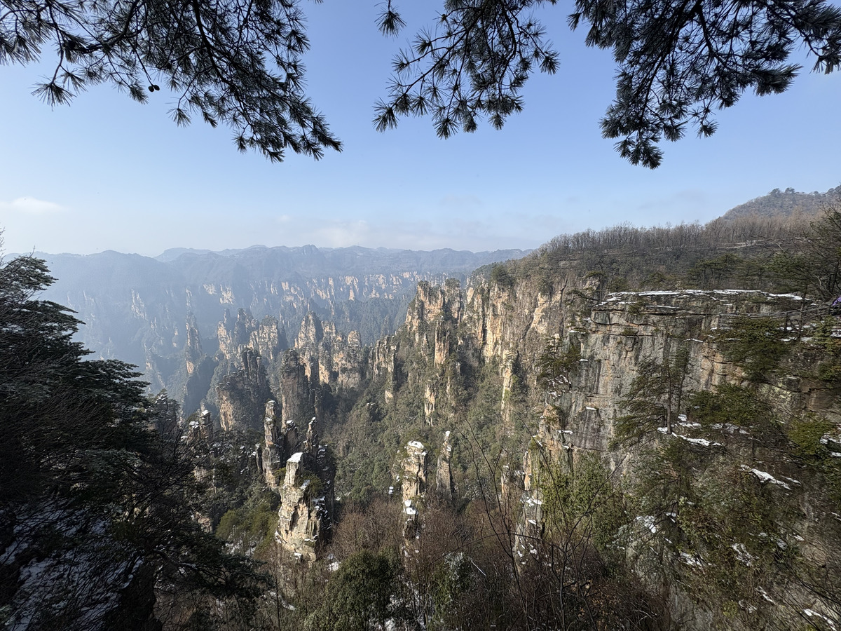 Picture China Zhangjiajie Tianzi Mountrain 2026-01 66 - Summer Tianzi Mountrain