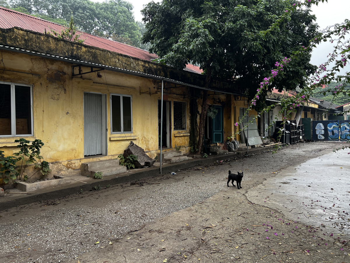 Picture Vietnam Hanoi Thang Long Citadel 2024-01 33 - City Sights Thang Long Citadel