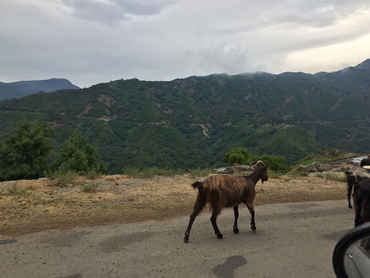 Picture France Corsica Valle d'alesani 2017-07 9 - City Sight Valle d'alesani
