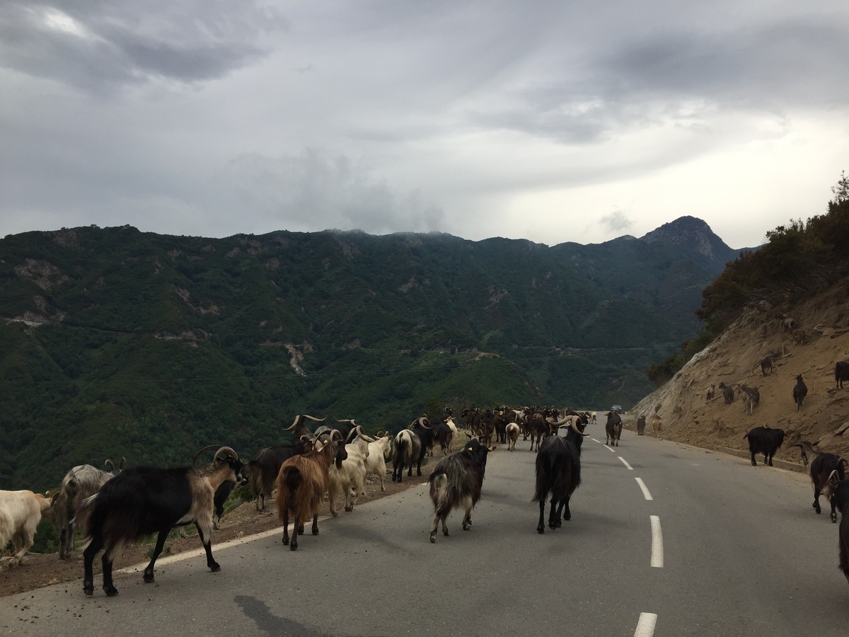 Picture France Corsica Valle d'alesani 2017-07 14 - Hotel Pools Valle d'alesani