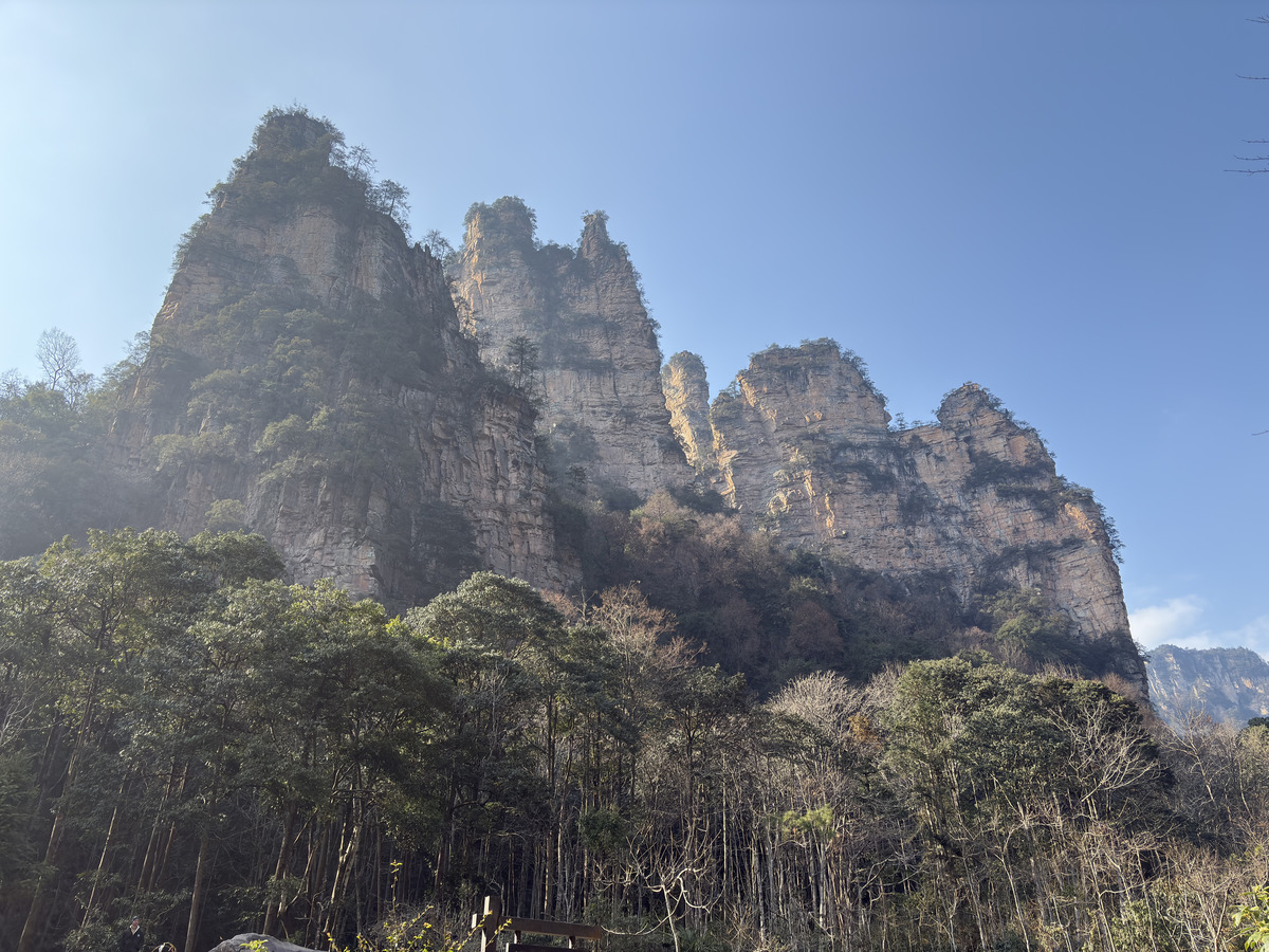 Picture China Zhangjiajie Tianzi Mountrain 2026-01 71 - Rain Season Tianzi Mountrain