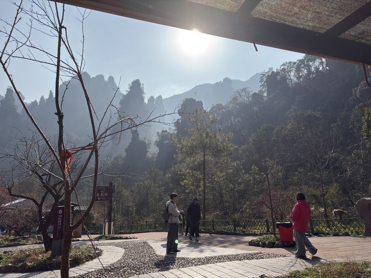 Picture China Zhangjiajie Tianzi Mountrain 2026-01 122 - Hotel Pools Tianzi Mountrain