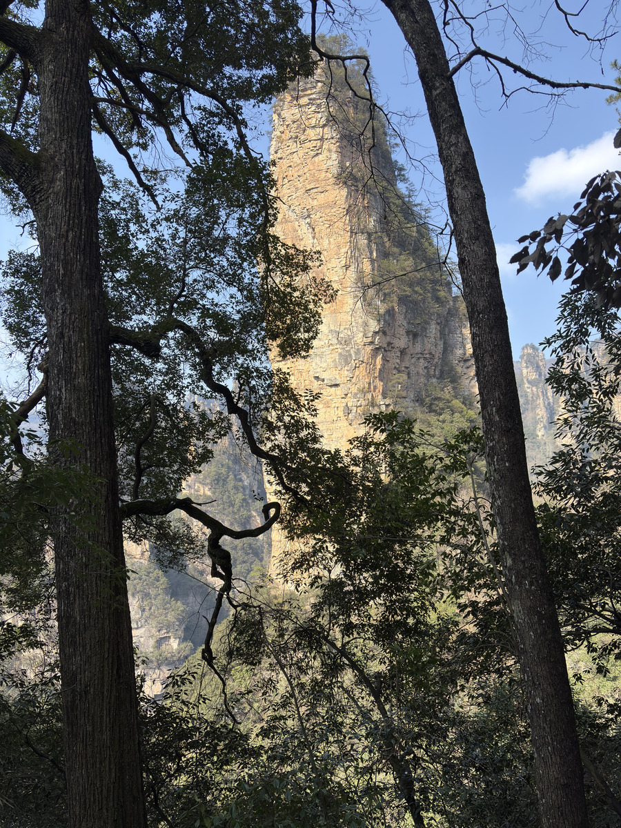 Picture China Zhangjiajie Tianzi Mountrain 2026-01 9 - Cost Tianzi Mountrain