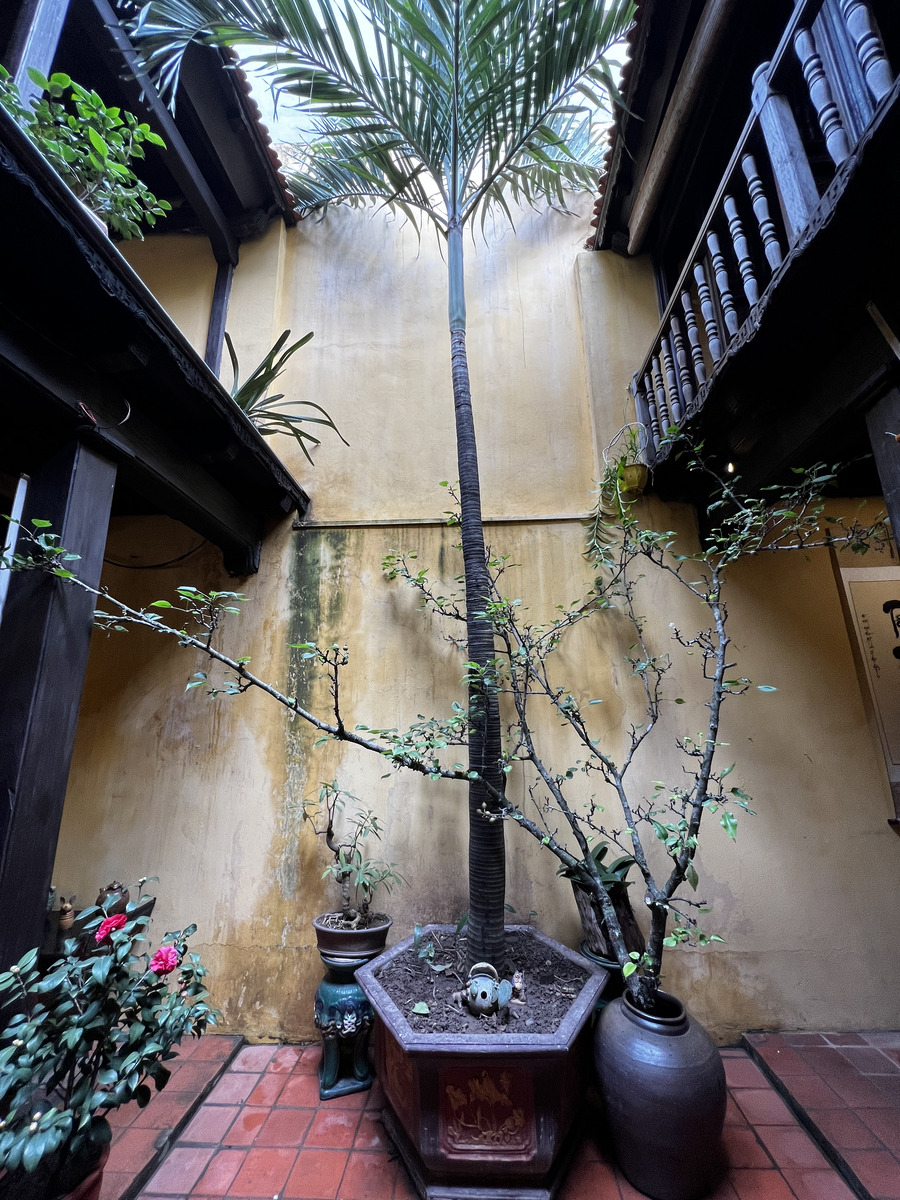 Picture Vietnam Hanoi Heritage House 2024-01 27 - Saving Heritage House