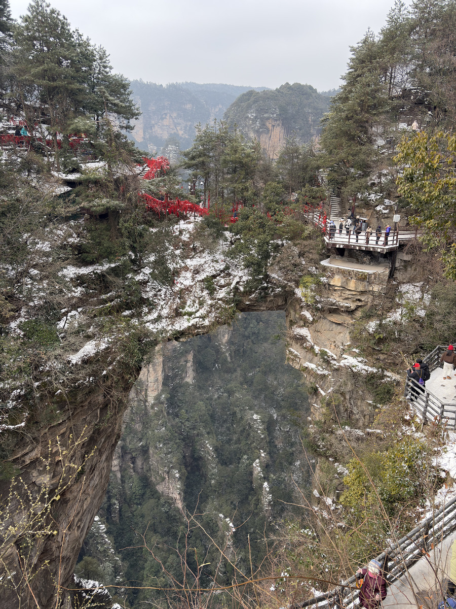 Picture China Zhangjiajie 2026-01 265 - Rental Zhangjiajie