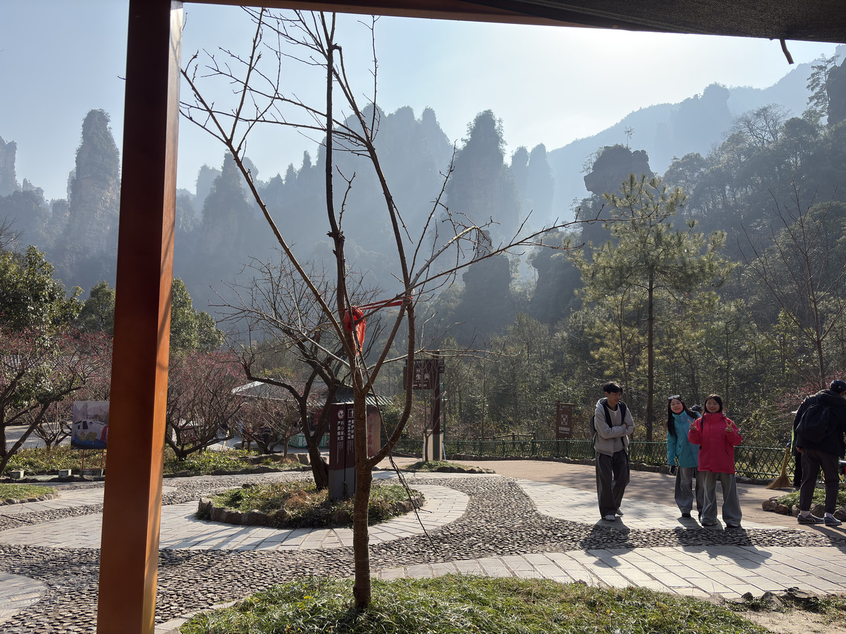 Picture China Zhangjiajie Tianzi Mountrain 2026-01 314 - Shopping Tianzi Mountrain