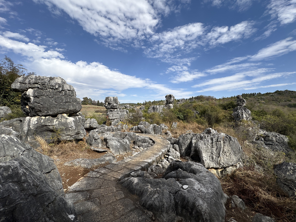 Picture China Shilin Stone Forest 2026-01 169 - Resort Shilin Stone Forest