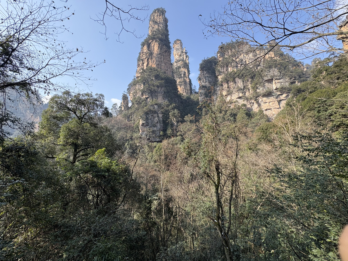Picture China Zhangjiajie Tianzi Mountrain 2026-01 296 - Winter Tianzi Mountrain