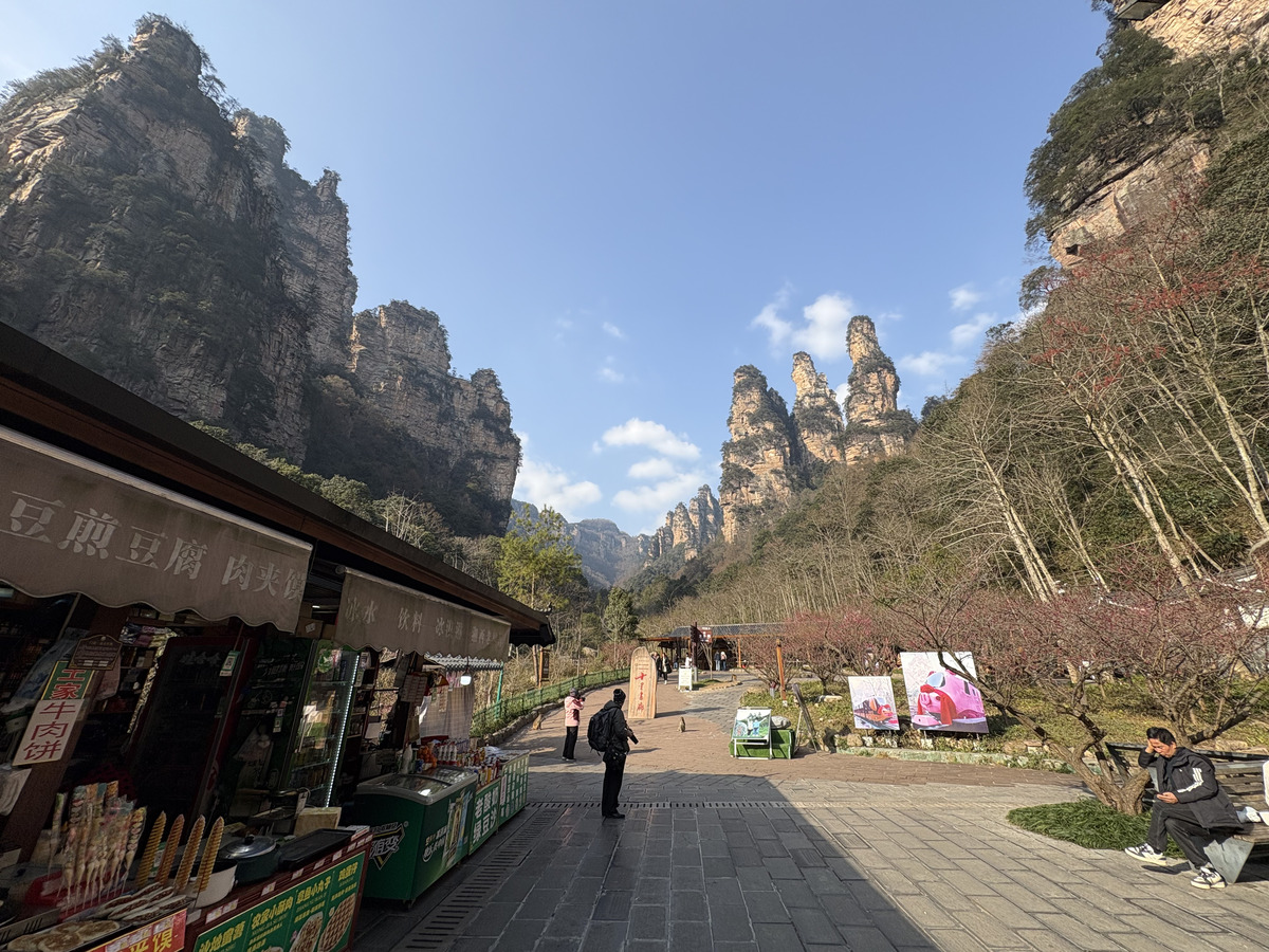 Picture China Zhangjiajie Tianzi Mountrain 2026-01 150 - Accomodation Tianzi Mountrain