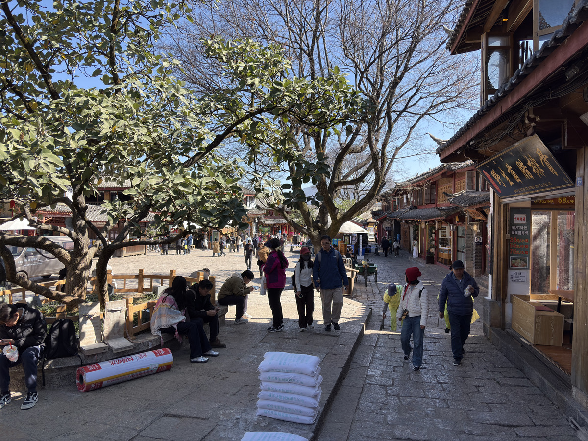 Picture China Lijiang 2026-01 833 - Lake Lijiang