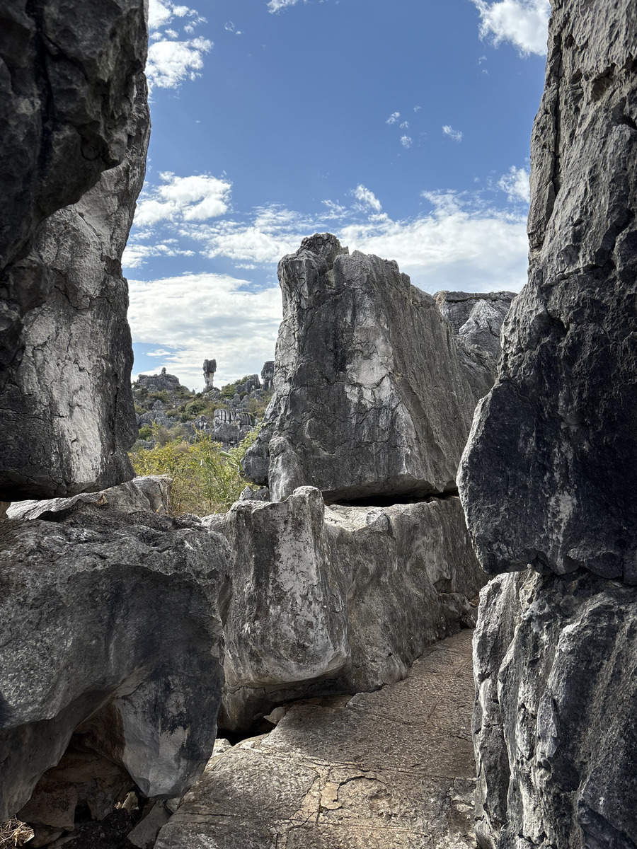 Picture China Shilin Stone Forest 2026-01 118 - SPA Shilin Stone Forest