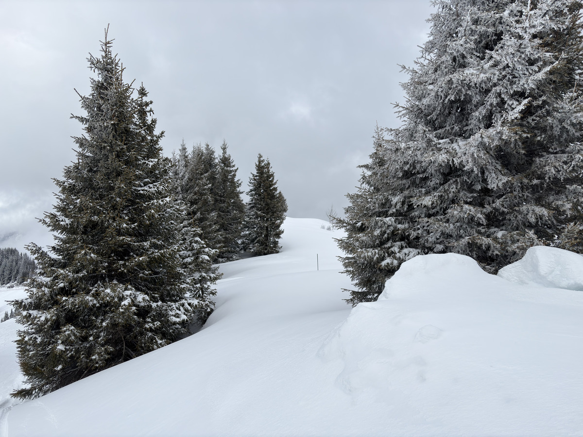 Picture France Praz sur Arly 2025-02 54 - Land Praz sur Arly