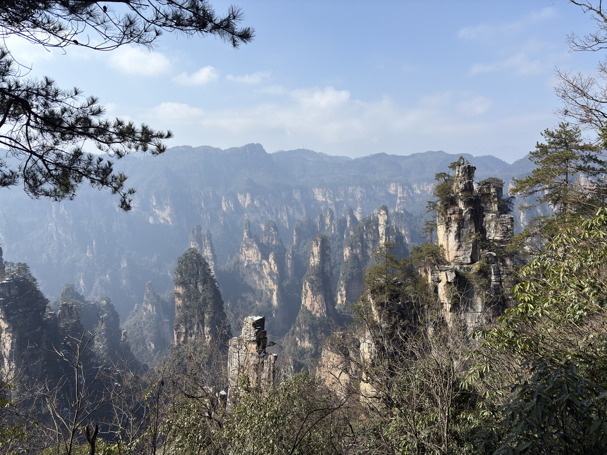Picture China Zhangjiajie Tianzi Mountrain 2026-01 74 - To see Tianzi Mountrain