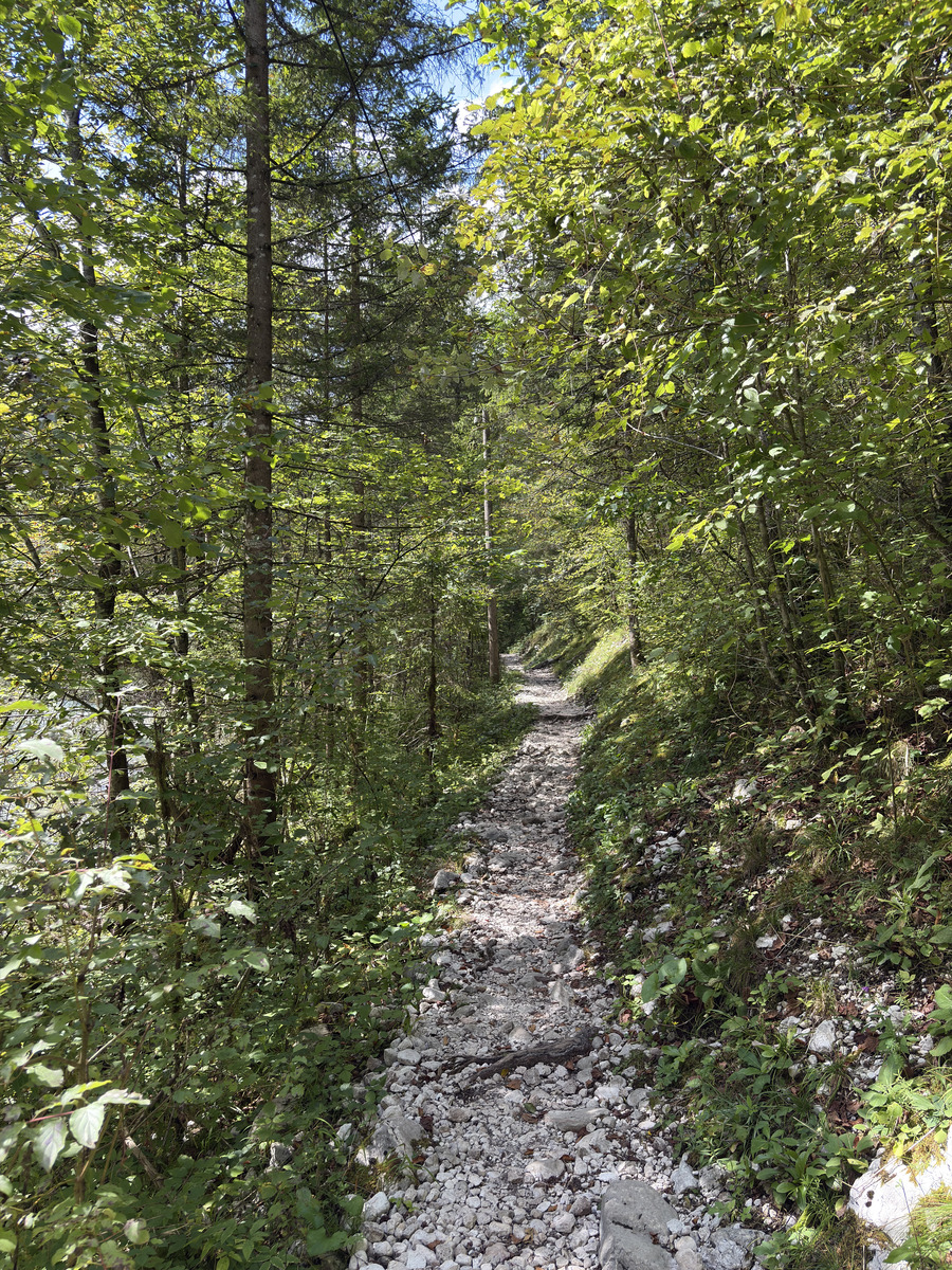 Picture Slovenia Soca River 2025-09 58 - Lands Soca River